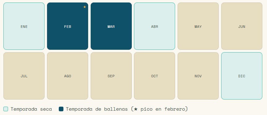 calendario ballena jorobata