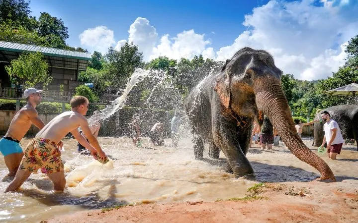Turistas bañando a un elefante en un santuario ético en Chiang Mai Tailandia con Traveland