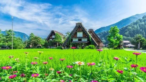 Casas tradicionales gassho-zukuri rodeadas de naturaleza en la aldea de Shirakawa-go Japón con Traveland