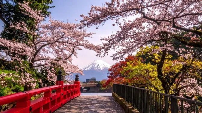 Vista del Monte Fuji con cerezos en flor y un puente rojo tradicional en Japón con Traveland