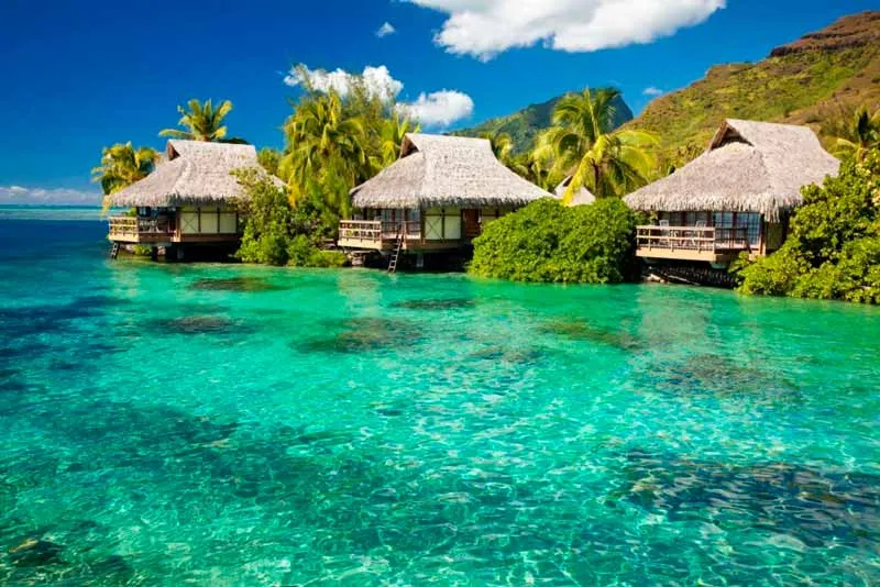 Playa paradisíaca de arena blanca con palmeras y aguas turquesas en la isla de Phu Quoc Vietnam con Traveland