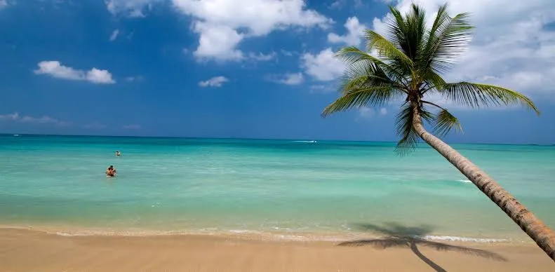 Palmera inclinada sobre la arena y el agua turquesa cristalina de Playa Rincón en Samaná, con personas bañándose en el mar bajo un cielo azul con nubes